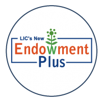 New Endowment Plus (735)